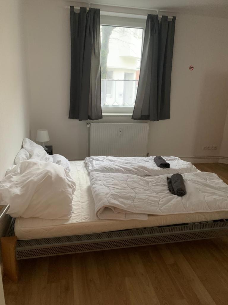 Schoenes Einfaches Zimmer Im Belebten Zentrum